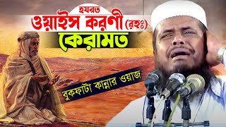 হযরত ওয়াইস করণী রহ কেরামত । তোফাজ্জল হোসেন ভৈরবী । Tofazzal Hossain bhairovi  Bangla Waz [upl. by Meikah]