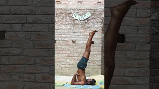 Sarvangasana sansaribhakti shortvideos [upl. by Forest796]