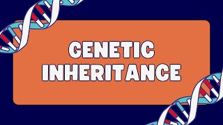 Autosomal dominant and autosomal recessive disorders [upl. by Ecinwahs]