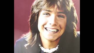 DAVID CASSIDY TRIBUTEBABE [upl. by Eetsud]