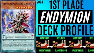 ENDYMION GOT FIRST PLACE AT A 25 PERSON TOURNAMENT  YuGiOh Deck Profile 2024 [upl. by Carce]