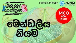 මෙන්ඩලීය නියම  Mendel’s Laws  EduTalk Biology [upl. by Suriaj]