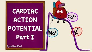 Ventricular Action Potential  Cardiac Action Potential  Part 1  Phases  Cardiac Physiology [upl. by Ibmab]