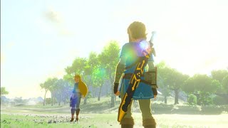 THE LEGEND OF ZELDA BREATH OF THE WILD  24 [upl. by Zusman701]