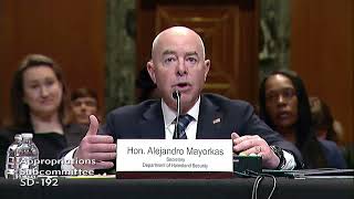 Murphy Questions DHS Secretary Mayorkas During Budget Hearing [upl. by Claman]