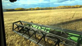 Swathing in September [upl. by Mallen]