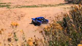 ECX RC Torment 110 2WD Brushless RTR SCT [upl. by Ahsielat]