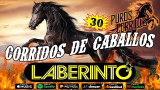 Grupo Laberinto Corridos de Caballos Famosos 🏇 Los Mejores Corridos De Caballos De Laberinto Mix 🏇 [upl. by Kcirret943]