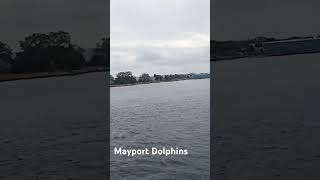 Mayport Dolphins [upl. by Bidle]