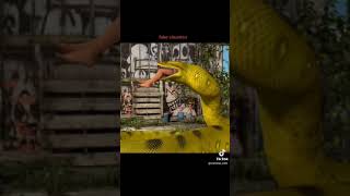 Snake eats woman With sound [upl. by Inalaehak]