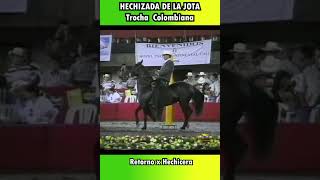 HECHIZADA MUNDIAL CALI 1997TROCHA shortsvideo trocha horse equitacion [upl. by Marja510]