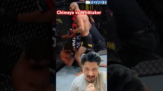 Chimaya vs Whittaker ufc mma bellator kickboxing ufc308 anthonyjoshua combatsport [upl. by Jepum]