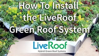 How to Install a Green Roof Using the LiveRoof System [upl. by Epstein45]