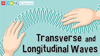 Transverse and Longitudinal Waves [upl. by Peper]