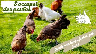 Soccuper des Poules  Combien de Temps par Jour Fautil  🐔 Poules Au Jardin [upl. by Nosnevets]