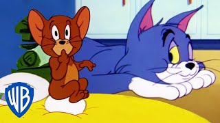 Tom y Jerry en Latino  Dibujos animados clásicos 115  WB Kids [upl. by Leak]