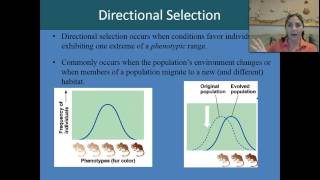 Stabilizing directional and disruptive selection [upl. by Clayberg]