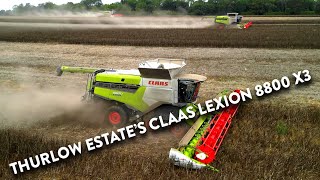 4Kᵁᴴᴰ Harvest 2024 Thurlow Estates THREE Claas Lexion 8800 combines harvesting beans in Suffolk [upl. by Adihsar]