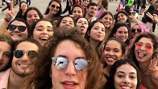 Vlog Lollapalooza 2019  Role Perdido [upl. by Ruford]