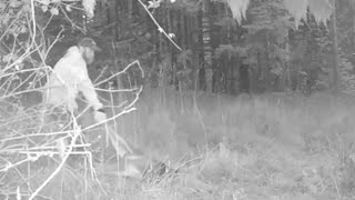 Suspected Oregon poacher caught on video dragging deer away OSP says [upl. by Kore]