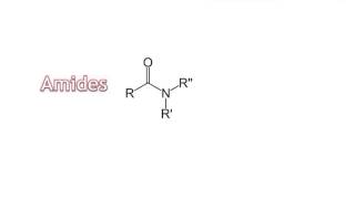 07  Amines amp Amides [upl. by Nanaj]