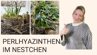 DIY Frühlingsdeko 💚 Nestchen mit Perlhyazinthen und Naturmaterialien für den perfekten Frühling [upl. by Oinegue]