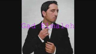 Gad Elmaleh  quotJsuis pas un bouffonquot  Lautre cest moi [upl. by Eilarol]