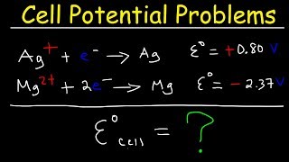 Cell Potential Problems  Electrochemistry [upl. by Tavy979]