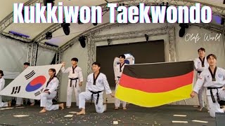 The spectacular Kukkiwon Taekwondo Show  화려한 국기원 태권도 공연 [upl. by Elacsap517]