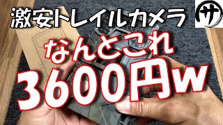 【衝撃映像】コスパ最強！Amazonで3600円で買った激安トレイルカメラの性能が凄すぎたｗｗｗ Cheap trail camera review [upl. by Ecnatsnoc957]