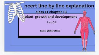 Gibberellins ncert line by line explanation [upl. by Brucie803]