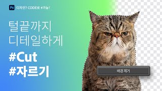 포토샵으로 가능 털끝까지 디테일하게 배경 제거하기 Cut 자르기 [upl. by Alyks567]