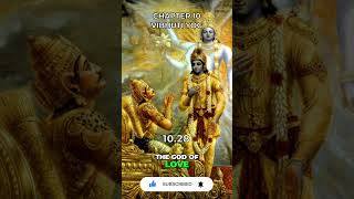 Bhagavad Gita Chapter 10 1028 [upl. by Popelka]