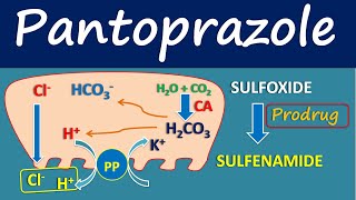 Pantoprazole  Mechanism side effects and uses [upl. by Aicilyt]