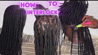 EASY AND SAFEST WAY TO INTERLOCK LOCS WITH A CROCHET NEEDLE LOC MAINTENANCE [upl. by Akilam801]