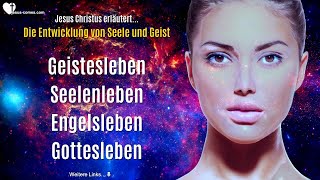 Jesus erläutert die Entwicklung von Seele amp Geist ❤️ Geistes Seelen Engels GottesLeben [upl. by Heath569]