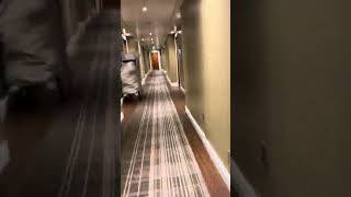 OTIS Gen2 elevators at Sheraton Hotel in Edinburgh Scotland [upl. by Ahsemal738]