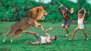 Lion Attack Man in Forest  Lion Attack Hunter  Lion Attack Stories Part07 [upl. by Anayek]