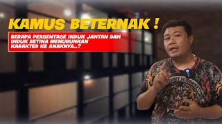 KAMUS BETERNAK  BERAPA PERSETASE INDUK JANTAN DAN BETINA MENURUNKAN KARAKTER KE ANAKNYA [upl. by Ahsead]