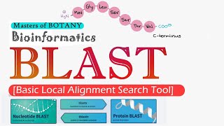 Bioinformatics BLAST Basic Local Alignment Search Tool [upl. by Nnairek]