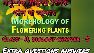 class 11biology chapter 5  extra short question answer [upl. by Siednarb]