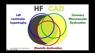 Coronary microvascular dysfunction  PET SPECT CMR Echo  by Prof Martin Ugander 19 Oct 2022 [upl. by Danyelle]