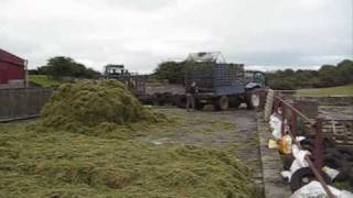 SILAGE SEASON 2009  NC SIDE MOUNTED SINGLE CHOP 25 [upl. by Idnil84]