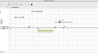 3ème  Homothétie dun point avec un rapport négatif [upl. by Lucho]