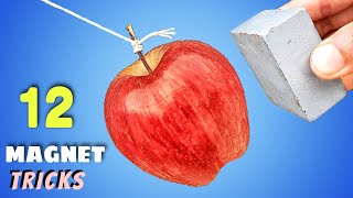 12 Awesome Magnet Tricks  Science Experiments With Magnet [upl. by Cini230]