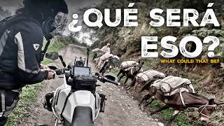 Este es EL MAYOR PELIGRO de COLOMBIA S24E05 VUELTA al MUNDO en MOTO con CHARLY SINEWAN [upl. by Halas]