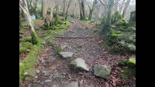 Beddgelert forest climb [upl. by Relyuhcs546]