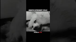 Russian Experiment 1940 shorts [upl. by Donall]