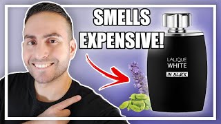 INEXPENSIVE FRAGRANCE THAT SMELLS EXPENSIVE  LALIQUE WHITE IN BLACK COLOGNE REVIEW [upl. by Ainatnas]