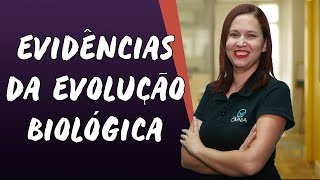 Evidências da Evolução Biológica  Brasil Escola [upl. by Jessy]